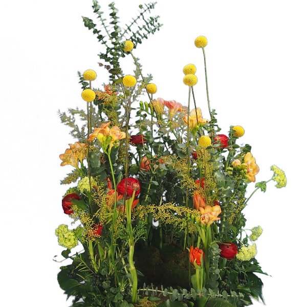 Urnenwiese mit frühlingshafter Blumenkombination Bild 1